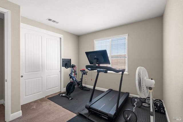 workout area featuring carpet flooring