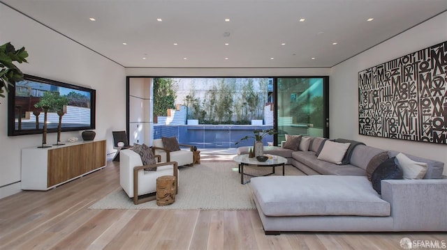 living room featuring light hardwood / wood-style flooring