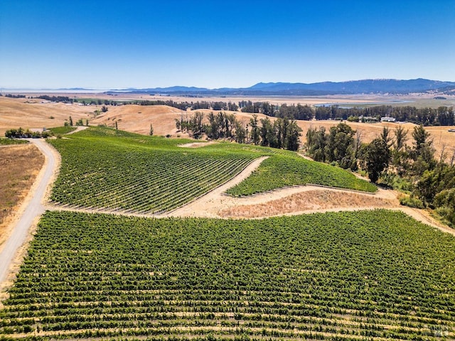 birds eye view of property featuring a mountain view and a rural view