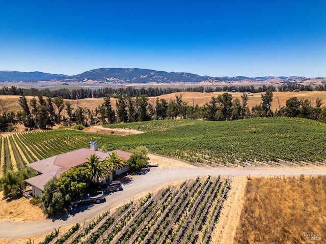 property view of mountains with a rural view