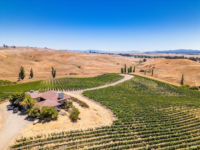 drone / aerial view featuring a mountain view and a rural view