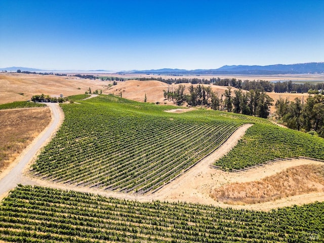 birds eye view of property with a mountain view and a rural view