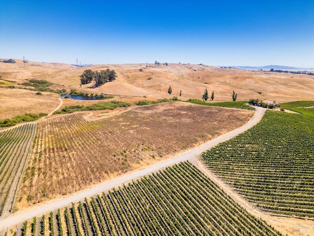 bird's eye view with a rural view