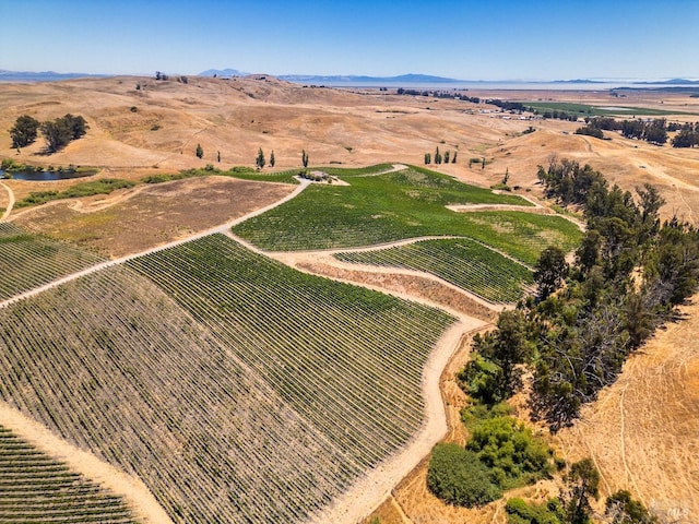 birds eye view of property featuring a rural view