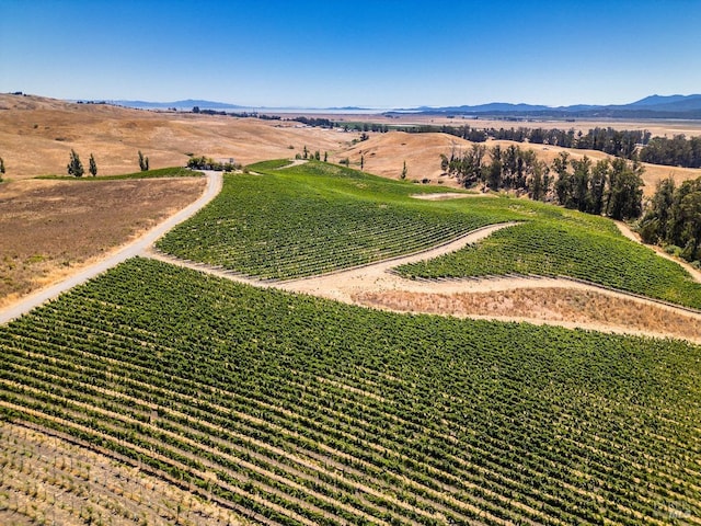 drone / aerial view with a mountain view and a rural view