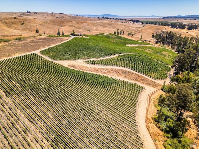 birds eye view of property featuring a rural view