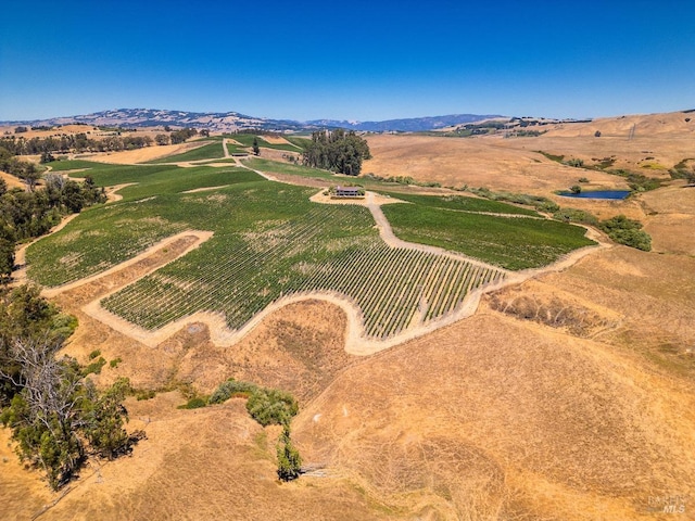 bird's eye view with a mountain view and a rural view