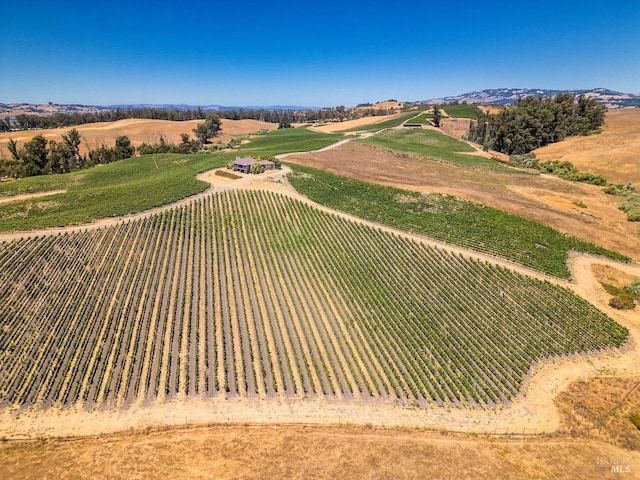 birds eye view of property with a rural view