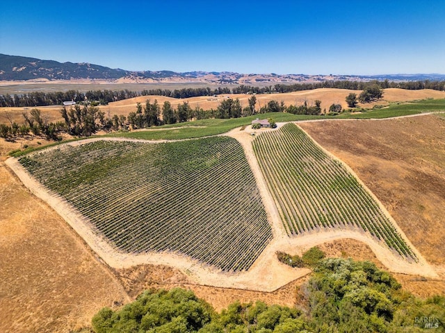 drone / aerial view featuring a mountain view and a rural view