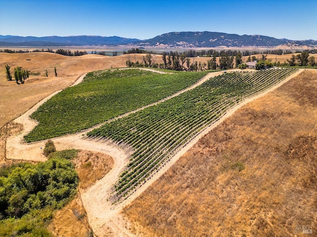 drone / aerial view with a mountain view and a rural view