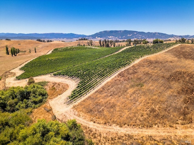 bird's eye view with a mountain view and a rural view