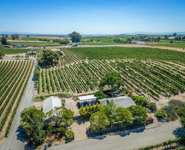 bird's eye view with a rural view