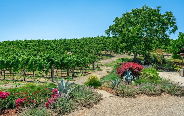 view of yard featuring a rural view