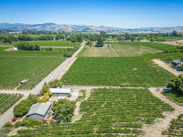 bird's eye view featuring a mountain view and a rural view