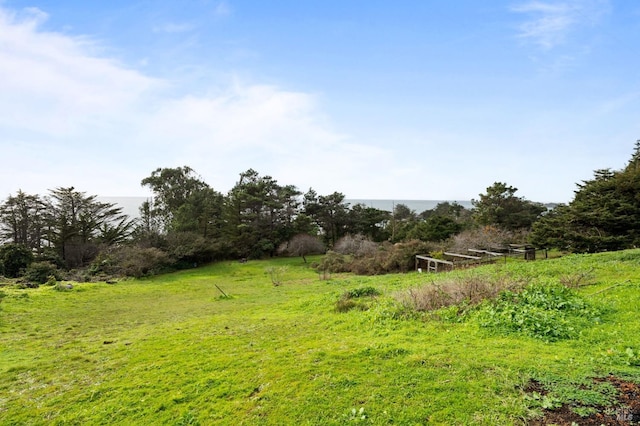 view of landscape with a rural view