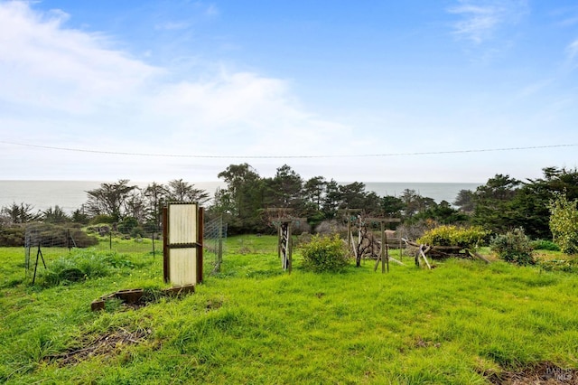 view of yard with a water view