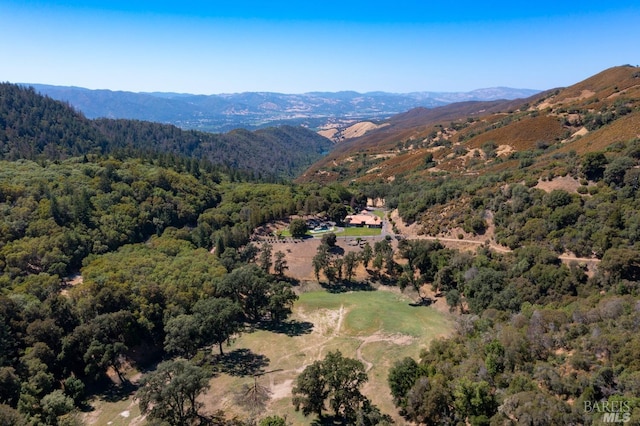 aerial view with a mountain view