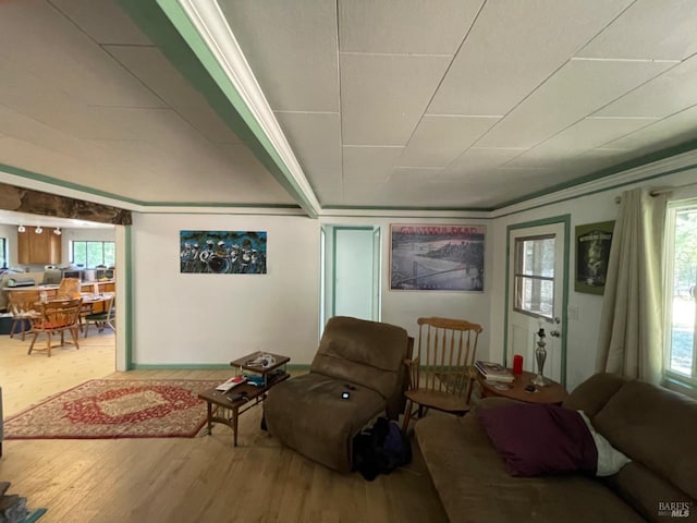 living room featuring a wealth of natural light and wood finished floors