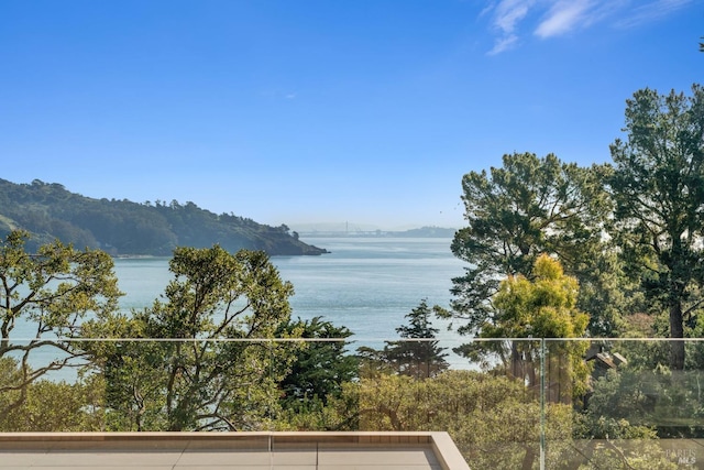 water view featuring a mountain view