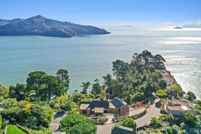 bird's eye view featuring a water and mountain view