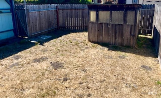 view of yard with a storage shed