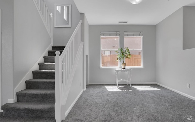 stairs featuring carpet floors