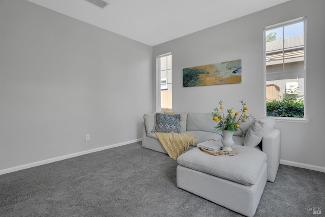 sitting room featuring carpet flooring