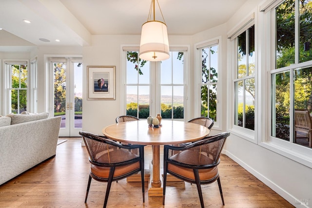 dining area featuring light hardwood / wood-style floors, french doors, and plenty of natural light