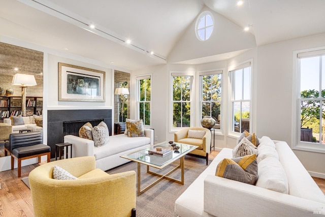 living room with light hardwood / wood-style floors, high vaulted ceiling, and rail lighting