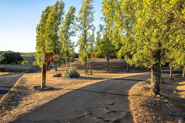 view of road