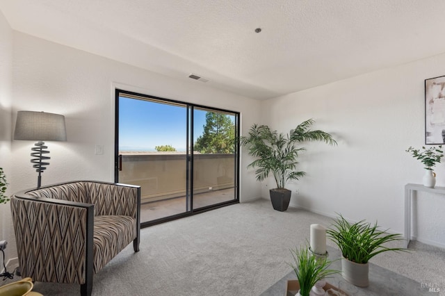 sitting room featuring light colored carpet and a textured ceiling