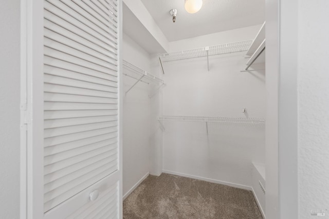 spacious closet with carpet flooring