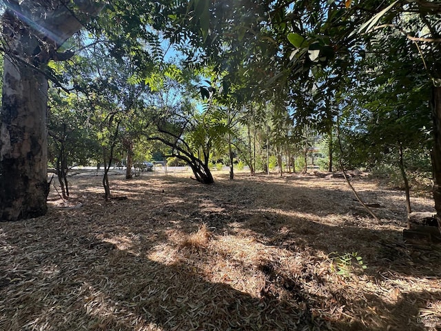 view of landscape
