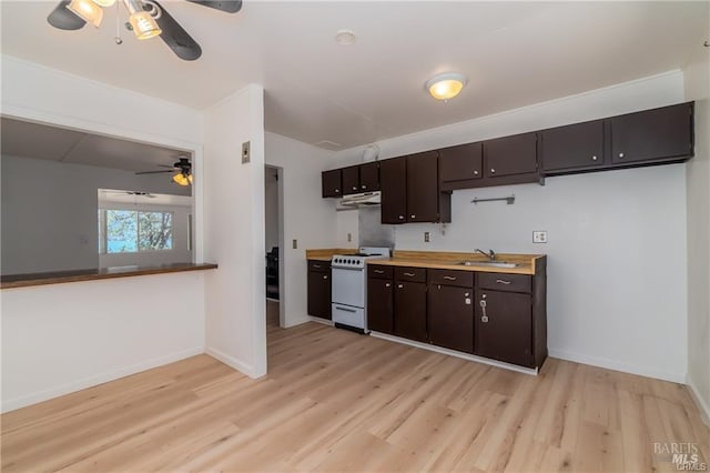 kitchen with white electric range, ceiling fan, light hardwood / wood-style floors, and sink