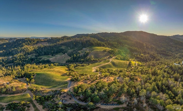 2340 Mount Veeder Rd, Napa CA, 94558 land for sale