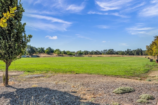 view of yard with a rural view