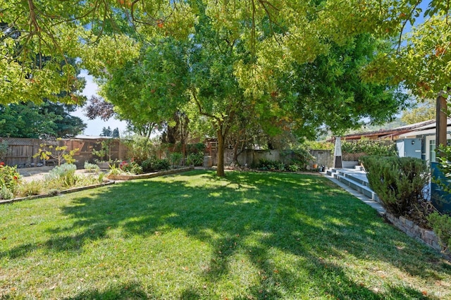 view of yard with a fenced backyard