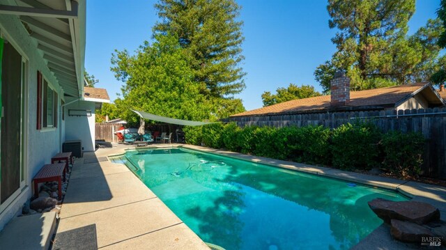 view of swimming pool featuring a patio area