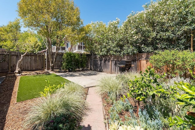 view of yard featuring a patio area