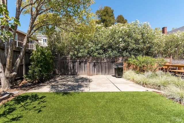 view of yard with a patio area