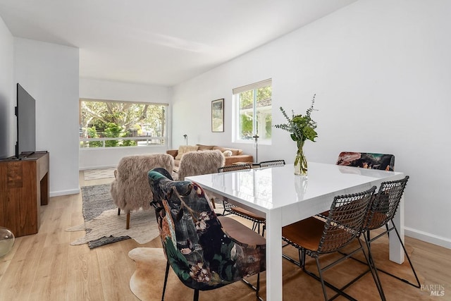 dining room with light hardwood / wood-style flooring