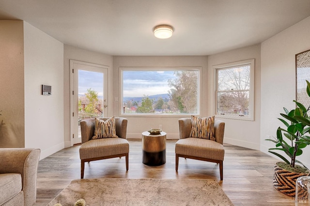 sitting room featuring light wood-style flooring and baseboards