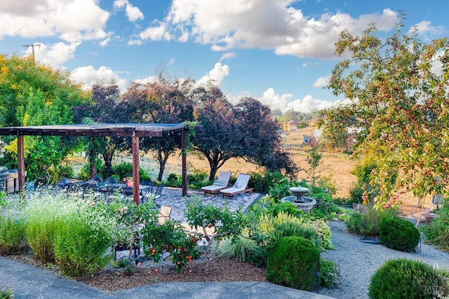 surrounding community featuring a patio area and a pergola