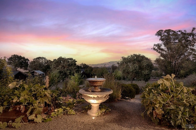 view of yard at dusk