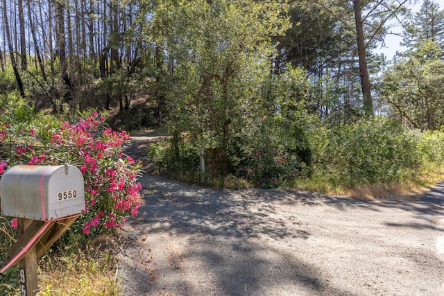 9560 St Helena Rd, Santa Rosa CA, 95404 land for sale