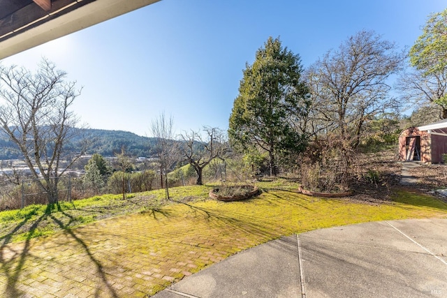 view of yard featuring a patio area