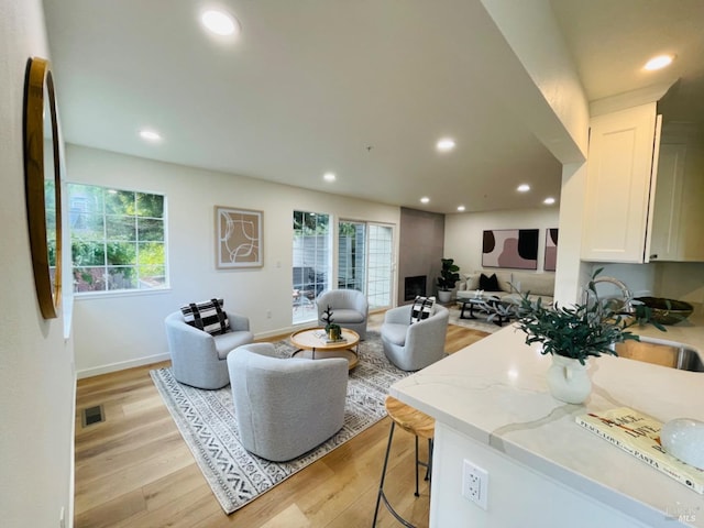 living room featuring light hardwood / wood-style flooring and sink