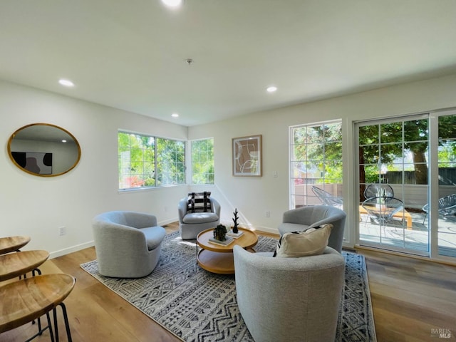 living room featuring hardwood / wood-style floors