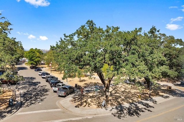 850 Mcclelland Dr, Windsor, CA 95492 - drone / aerial view of a tree filled landscape
