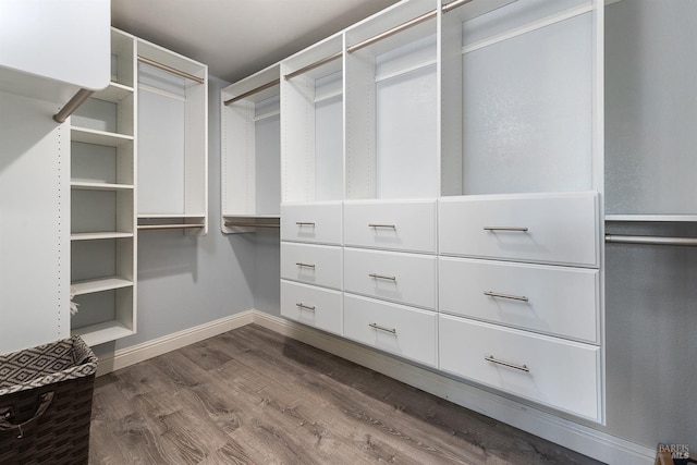 spacious closet with hardwood / wood-style flooring